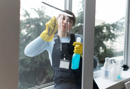 Nettoyage de vitres intérieures et extérieures au Donjon